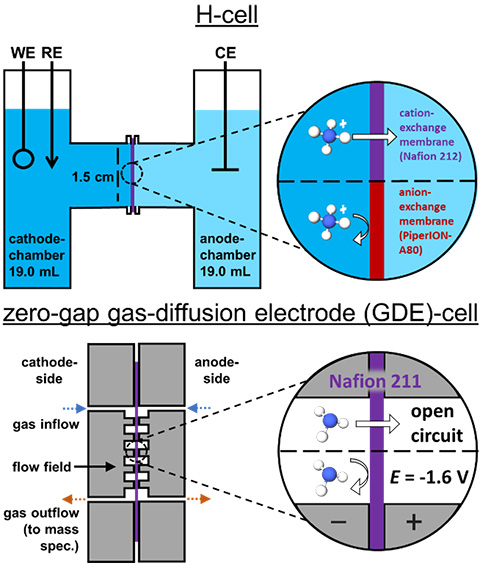 Scheme 1. Top: H-cell schematic (WE = working electrode, RE = reference electrode, CE = counter electrode) and illustrated concept of NH4+ crossover limitation by membrane selection. Bottom: zero-gap gas-diffusion electrode (GDE)-cell schematic and illustrated concept of NH3 crossover control by applied voltage.