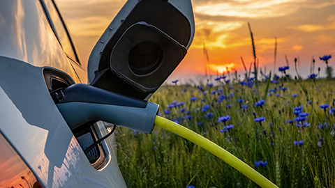 An electric vehicle plugged into charger with a sunset and field of flowers in the background.