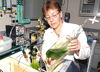 Photo of a woman in a laboratory holding a clear beaker of green algae.