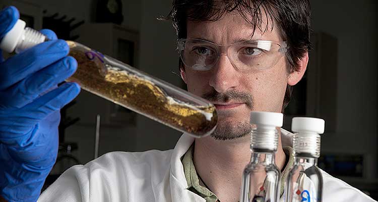 man looking at test tubes containing clear, amber liquid