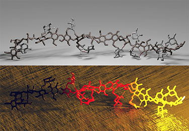 Two illustrations showing molecular models as a series of 3-D interconnected hexagons and rods, slightly twisted, sitting on a surface with shadows. The top image shows the model in tones of black and grey on a grey background. The bottom image shows the model blending from yellow to red to black and on a textured bronze-like background.