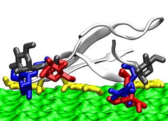 Illustration of a carbohydrate binding domain (white cartoon with colored licorice-shaped sugars decorating it) on a cellulose surface (depicted as green solvent-accessible surface