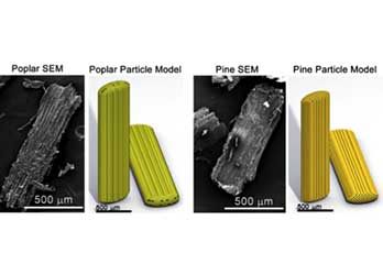 microscopic photos of poplar and pine particles and their respective 3D models