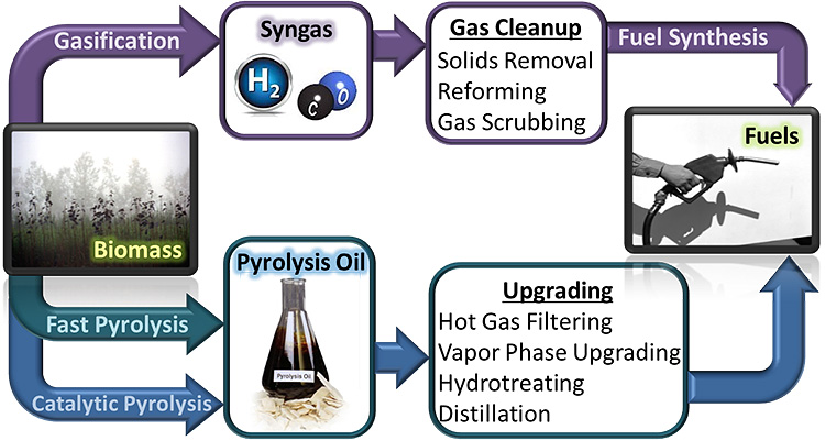 Flow diagram describing the major steps in three primary thermochemical pathways. The figure starts with a photo of a forest labeled "Biomass". The purple arrows of "Gasification" lead to "Syngas," represented by spheres of hydrogen and carbon monoxide, then to "Gas Cleanup, Solids Removal, Reforming, and Gas Scrubbing," and then on to "Fuel Synthesis" and finally "Fuels," represented by a gasoline dispenser nozzle. A green arrow of "Fast Pyrolysis" and blue arrows for "Catalytic Pyrolysis" lead to "Pyrolysis Oil," represented by a flask with brown liquid, then on to "Upgrading, Hot Gas Filtering, Vapor Phase Upgrading, Hydrotreating, and Distillation," and finally to "Fuels," represented by a gasoline dispenser nozzle