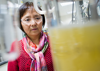 Photo of a female scientist wearing safety glasses examining yellow bacteria-producing chemicals growing in a clear beaker in a lab.