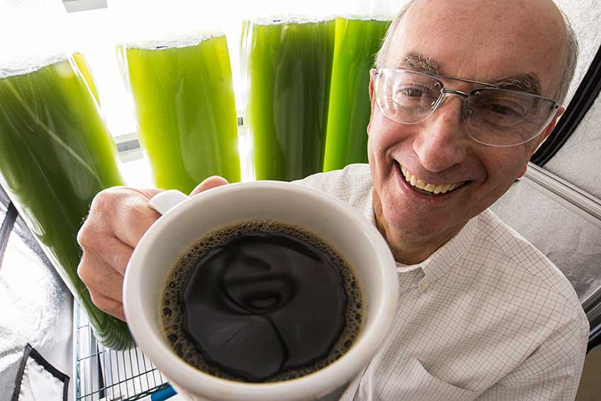Smiling male NREL researcher holds a cup of coffee in front of green algae vials. 