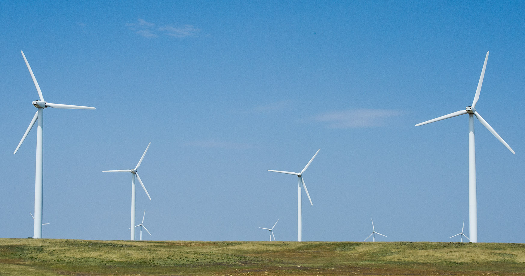 Photo of a utility-scale wind farm.