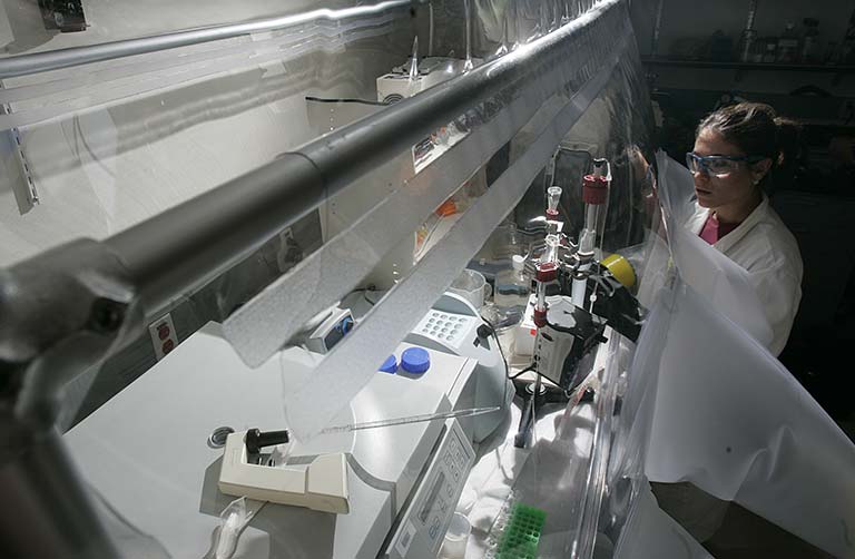 Photo of a researcher looking inside a chamber filled with laboratory equipment.
