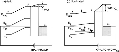 Left: Scanning kelvin probe microscopy is widely used to measure surface work functions and electrostatic potentials on nanoscale circuits, devices, and materials; this schematic shows the measurement capabilities of the technique when a device sample is in the dark. Right: This schematic shows the measurement capabilities of the scanning kelvin probe microscopy technique when a device sample is illuminated.