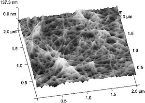 Another high-resolution image of carbon nanotubes. The image is similar to those above but appears three-dimensional.