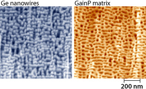 Pair of high-resolution field-emission SEM images of germanium nanowires (left) embedded in a gallium indium phosphide matrix (right).