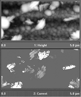 Top: High-resolution image of a sample semiconductor device made of silicon and tin oxide on glass; the image was obtained using atomic force microscopy and features large, rounded white clusters on a background of smaller, darker gray clusters. Bottom: High-resolution image of the same sample semiconductor device made of silicon and tin oxide on glass shown above; this image was obtained using conductive atomic force microscopy and appears as widely separated white and light gray jagged clusters on a dark gray background.