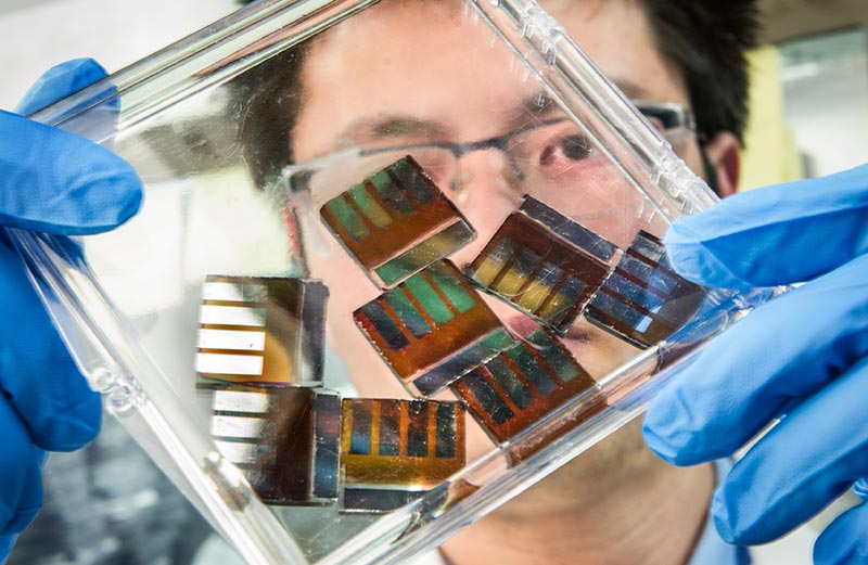 Photo shows a man looking at a handful of solar cells made of perovskite.