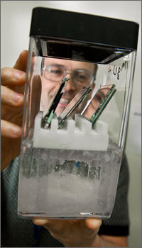 This photo shows a scientist holding a see-through container that holds three glass squares above a solution of whitish semi-solid salt.