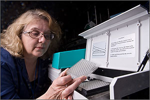 This is a close-up of a woman in safety glasses examining a plastic tray that has numerous holes to contain samples.