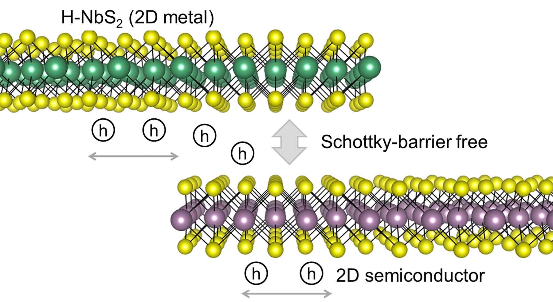 Drawing illustrates that a two-dimensional metal can bond with a two-dimensional semiconductor.