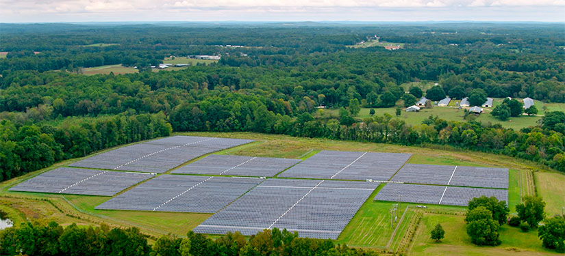 A field of solar photovoltaic arrays, surrounded by trees.