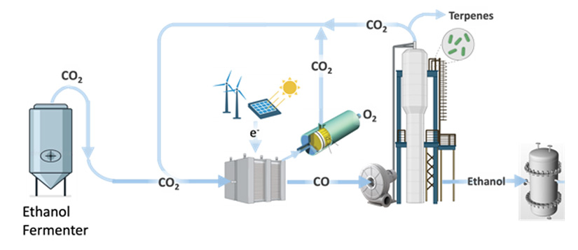 CO2-containing flue gas from an ethanol fermenter is fed into a CO2 electrolyzer for reduction into syngas (carbon monoxide and hydrogen), which will be supplied to the gas fermenter to upgrade into fuels and chemicals, including terpenes and ethanol.