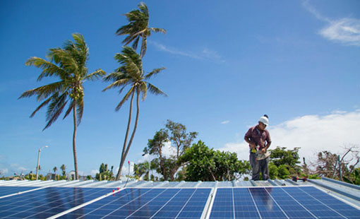 A person stands on a roof with a solar array with palm trees in the background