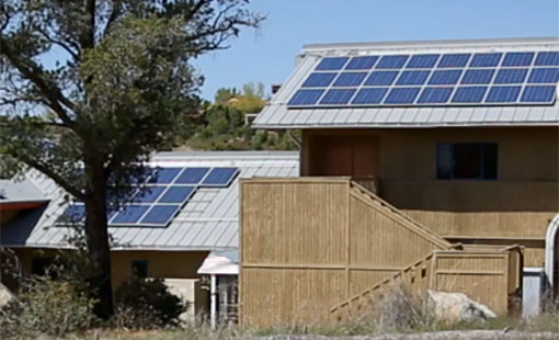 Two houses with solar panels with a tree growing nearby.