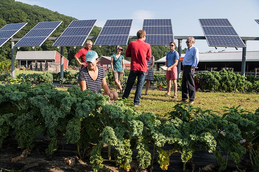 A group of people stand talking together. In the foreground, a person tends to crops. Farm buildings and solar panels stand in a line in the distance.