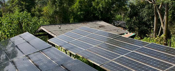 Rooftop solar photovoltaic array/panels on a building in a jungle.
