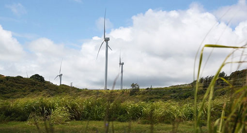 Wind turbines at Kahuku Wind Farm.