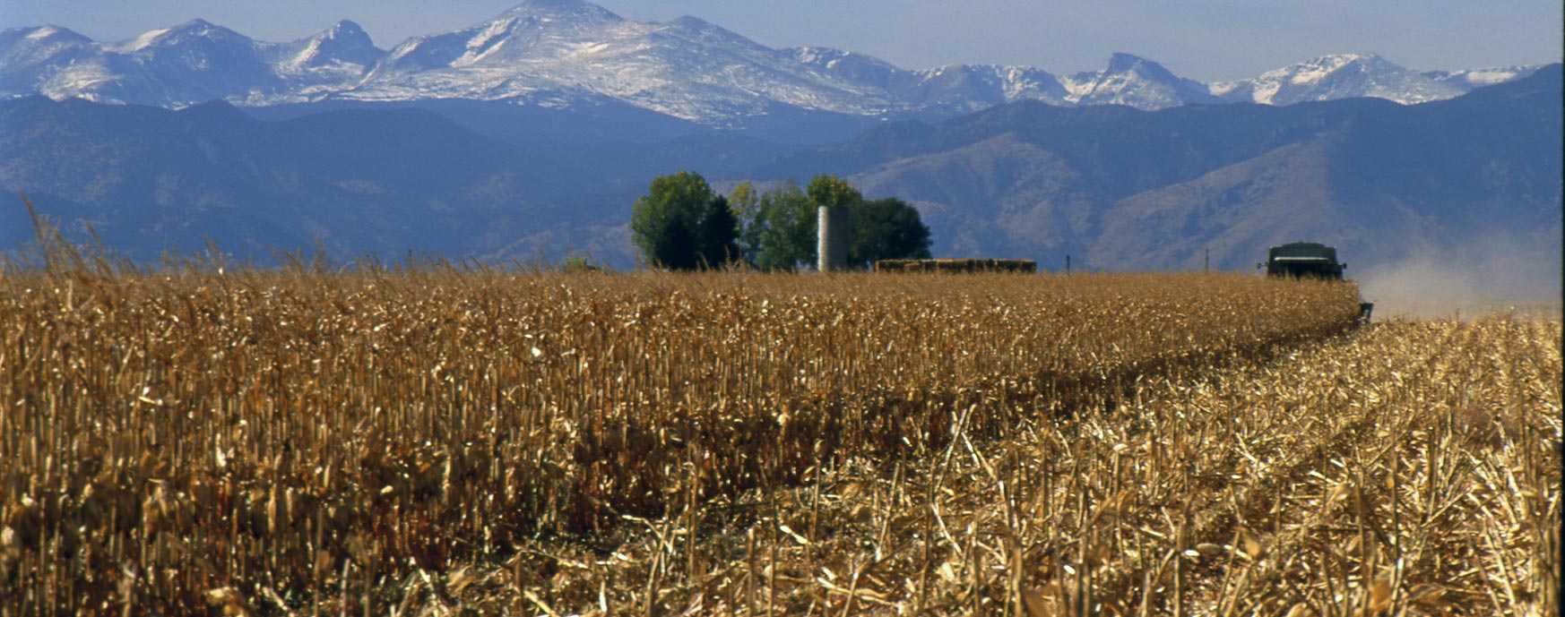 Cornstalks in a field with mountains in the background.