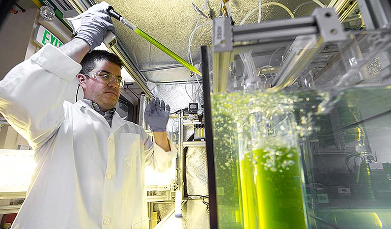 A photo of an NREL scientist working in the Integrated Bio Refinery Facility.
