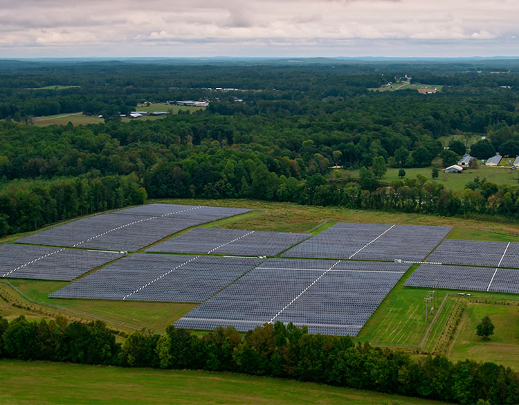 A large field of solar photovoltaic arrays surrounded by forest.