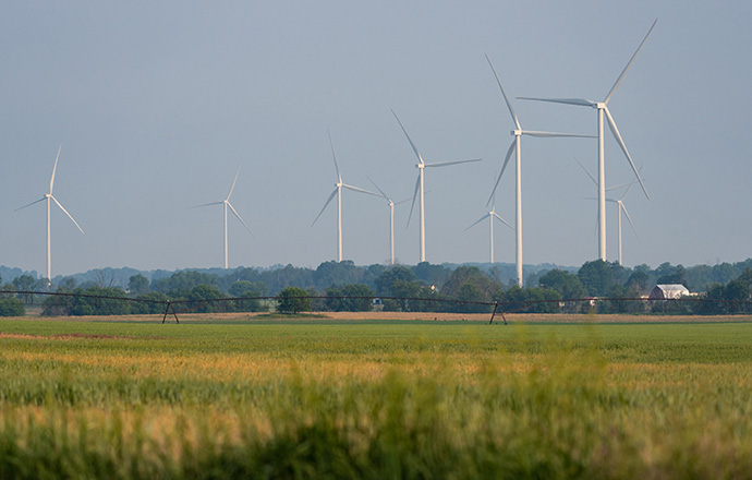 A field of grass with wind turbines in the background.