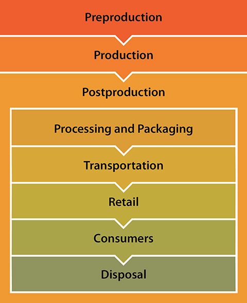 The different phases of the agricultural supply chain include pre-production; production; drying, cooling, storage; transportation; processing; retail; and disposal.
