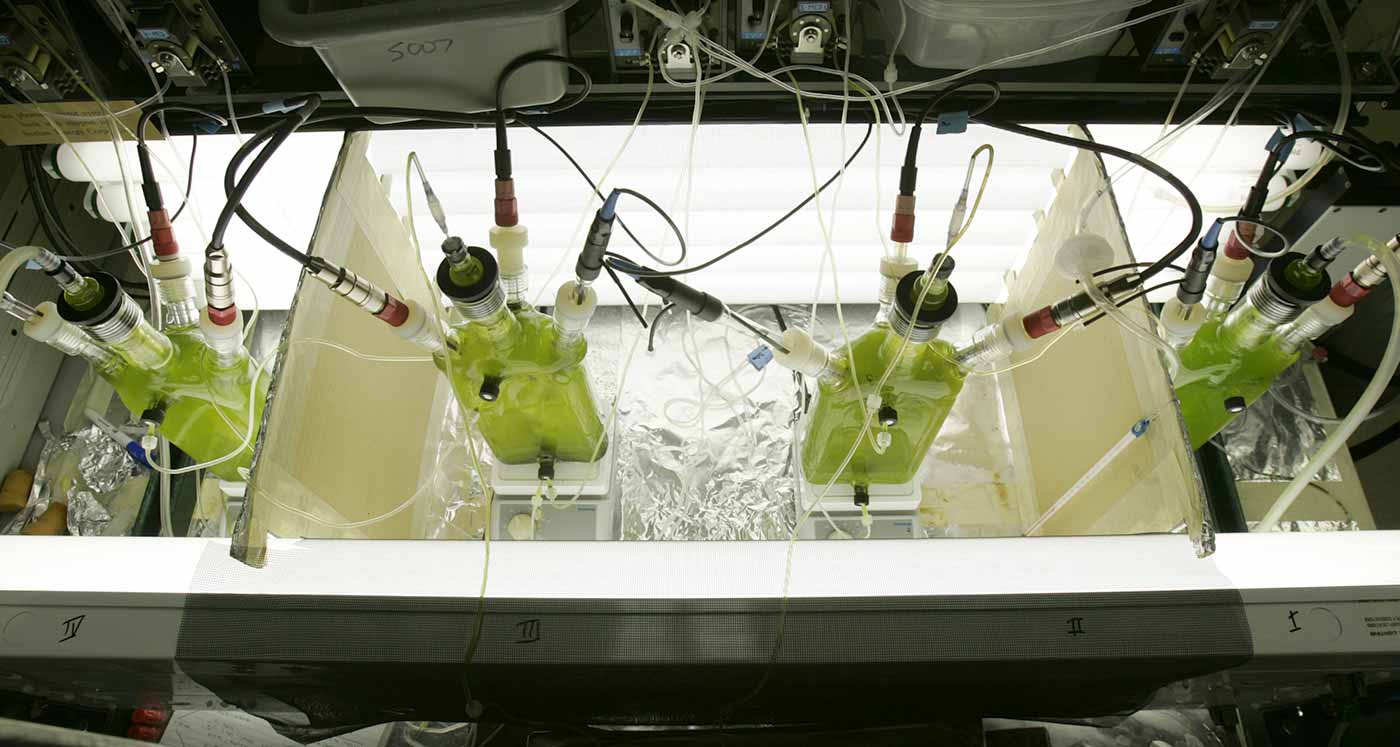 four flask beakers containing green algae set in bins surrounded by light and attached to sensors, hoses, and valves