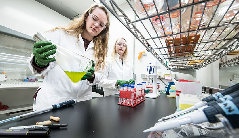 Two interns prep a plasmid to transfer nitrogen into algae in the biofuel research lab.