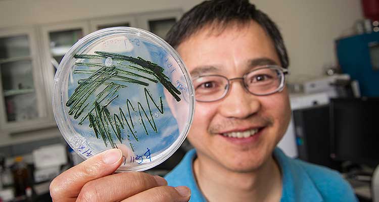 Photo of a smiling man holding a marked petri dish.