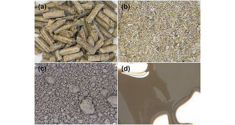 Four photos in a quadrant showing corn stover that has been (a) pelleted, (b) milled, (c) thermochemically pretreated, and (d) enzymatically hydrolyzed. These materials have greatly different physical and chemical properties which dictate how they are transported and processed throughout the biorefinery.