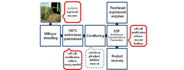 Diagram of the traditional biomass to advanced biofuels process flow chart (starting with a photo of a combine and hay bale in the upper left) based on simultaneous saccharification and fermentation (SSF).
