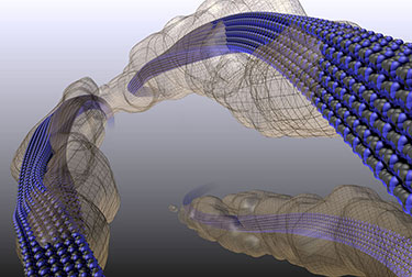 3-D illustration of light grey, translucent strands with dark grey, grid-like patterns; inside the grey strands are helical strands of blue and grey.