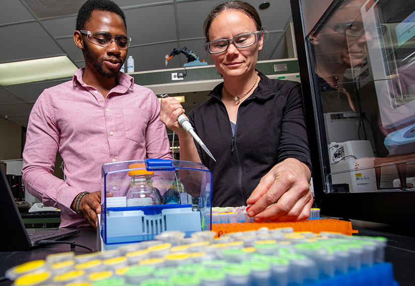 two researchers with safety glasses working in a lab.