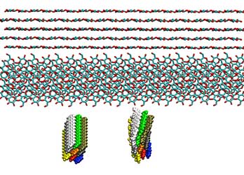 Structure of cellulose nanofibrils shown as sticks, showing side view with layers easily seen (top), top view where the sugar rings are shown (middle), and the twisting behavior, untwisted bottom left, and with natural twist bottom right.