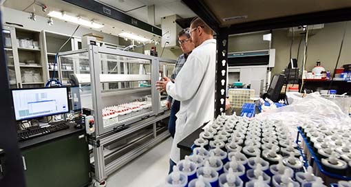Two scientists in a lab working with High Throughput Recalcitrance Screening using the HTP Recalcitrance Screening Pipeline.