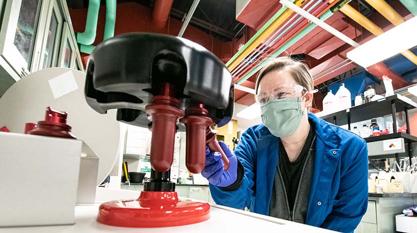 A researcher loads a swinging bucket rotor and loading the rotor into an ultracentrifuge for the separation and study of proteins involved in photosynthesis.