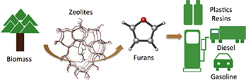 Illustration showing how catalysts are designed to convert biomass to liquid fuels and chemicals. On the left is a stylized tree/forest labeled "Biomass"; partial hexagons and hexagonal lines are to the right with an arrow pointing right and labeled "Zeolites"; the arrow points to "Furans," a pentagon shape with four bars jutting out; a right arrow then points to stylized icons of "Plastic Resins," "Diesel," and "Gasoline" trucks and pumps.