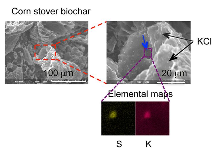 Two microscopic images labeled corn stover biochar and below them two black square images, labeled Elemental maps: one with a green dot labeled S the other with a red labeled K. From KCI, there are two arrows pointing inside one of the microscopic images. 