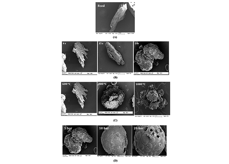 Ten microscopic SEM images of (A) untreated pine (180250 m); (B) effect of residence time at 600 C, 5 bar; (C) effect of temperature at 5 bar, RT = 4 s; (D) effect of pressure at 600 C, RT 28 s.