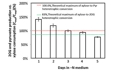 Bar graph with an x-axis of Days in N medium and a y-axis of 20G and pyruvate production versus xylose consumption in percent. The chart shows over time the y-axis percentages go down. There are two percent levels called out. The first is 100%, shown with a red-dotted line, and it represents the theoretical maximum of xylose-to-Pyr heterotrophic conversion. The second is 8$, shown with a green-dotted line, and it represents the theoretical maximum of xylose-to-20G heterotrophic conversion.
