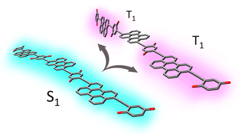 Illustration of singlet and triplet excitons