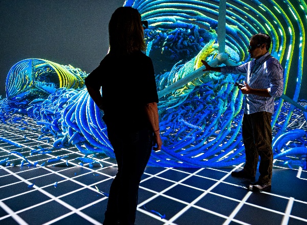 Two researchers standing in front of a wall-size, 3D visualization.