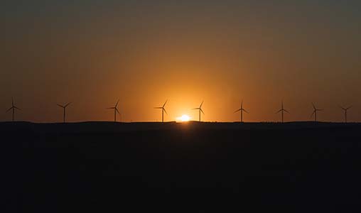 Multiple wind turbines in a field during sunset