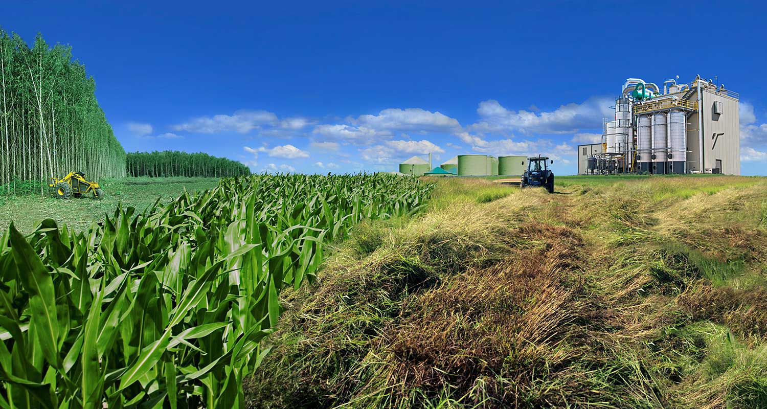 hero-106758-biofuels-lifecycle Photo collage depicting biomass-to-biofuels life cycle - fast-growing trees, agricultural waste, storage silos, and a biorefinery.